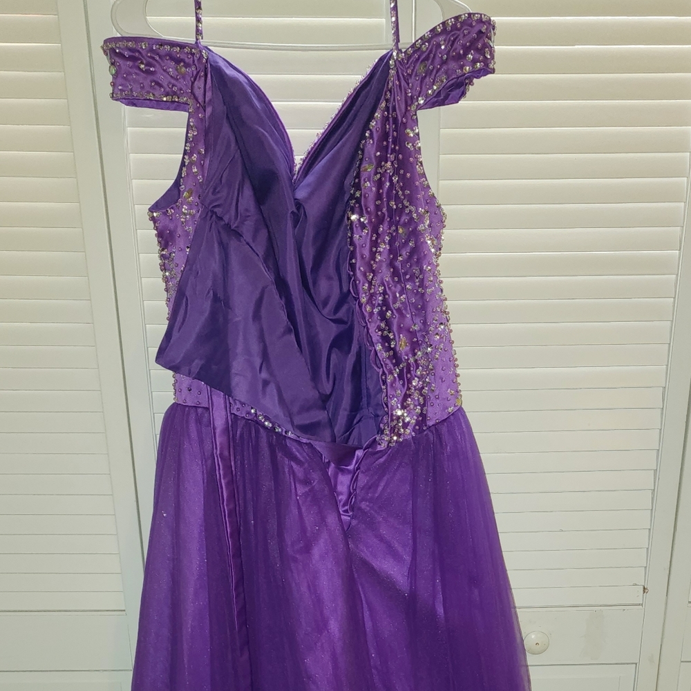 Quinceanera dress/ball gown